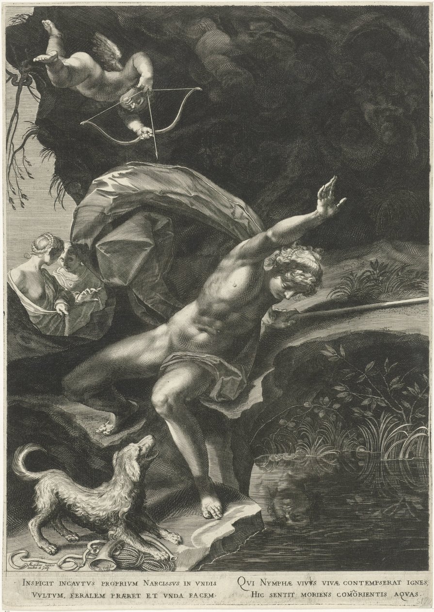 Narcissus bij de bron
Hercules en Cerberus by Aegidius Sadeler (II)