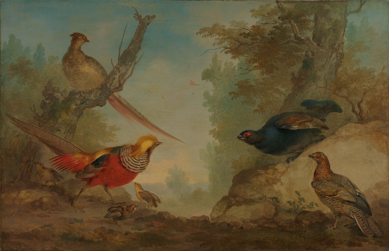 Pheasants by Aert Schouman