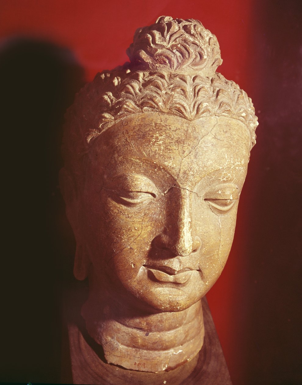 Head of Buddha, Greco-Buddhist style, from Hadda by Afghan School