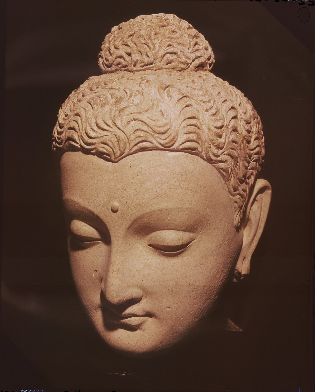 Head of Buddha, Greco-Buddhist style, from Hadda by Afghan School