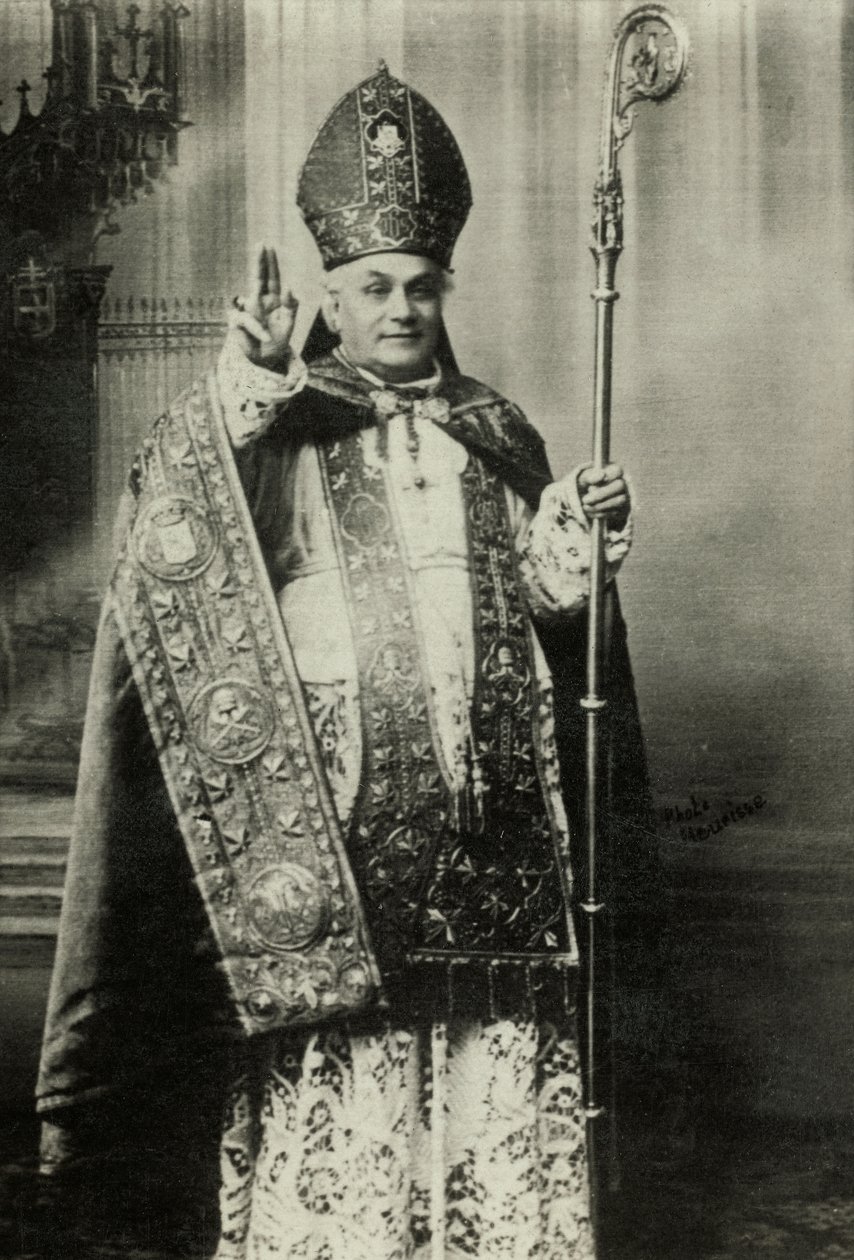 Portrait of Cardinal Louis Lucon by Agence Meurisse