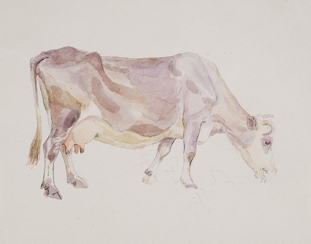 Standing Cow by Agnes Lunn