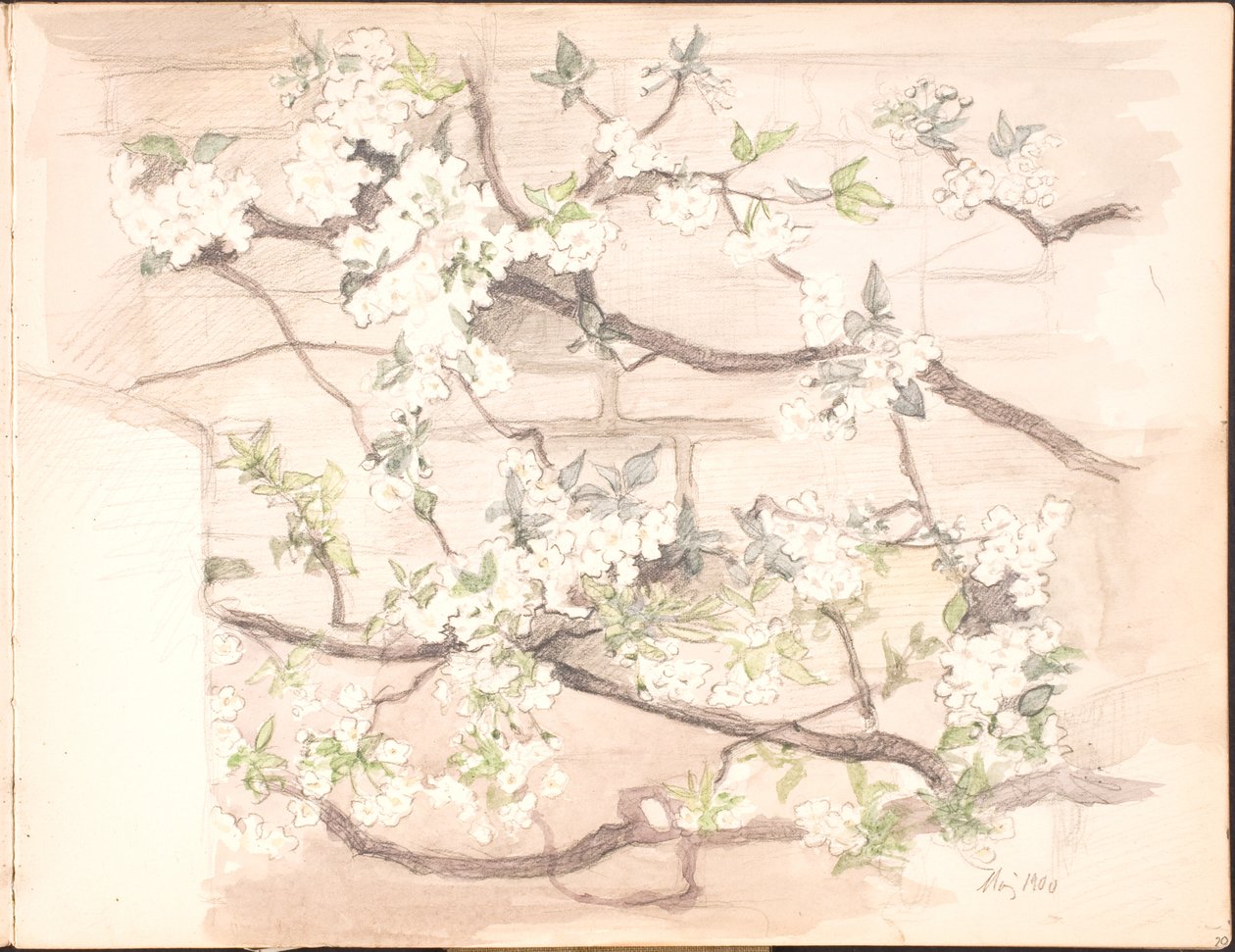 Sketchbook. July 1899 - June 1901 by Agnes Slott Møller