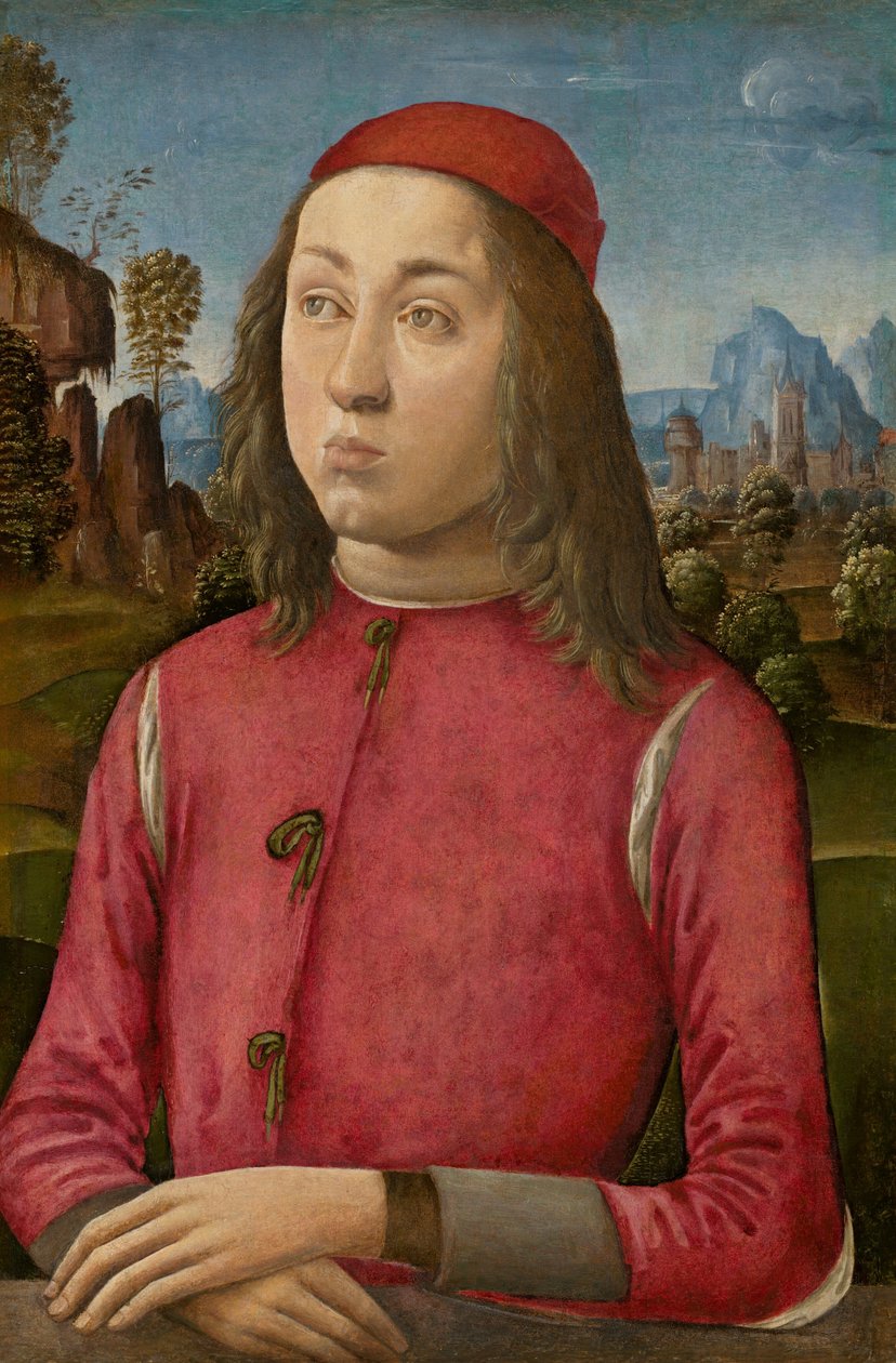 Portrait of a Youth, c. 1495-1500 by Agnolo di Domenico di Donnino