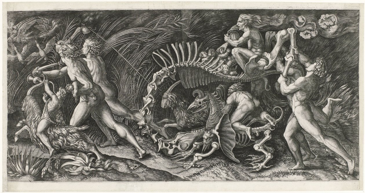 The Carcass by Agostino Veneziano