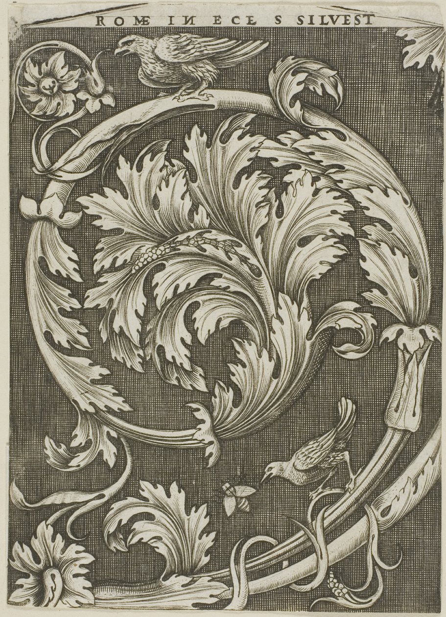 Foliage Ornament from Ancient Roman Church by Agostino dei Musi