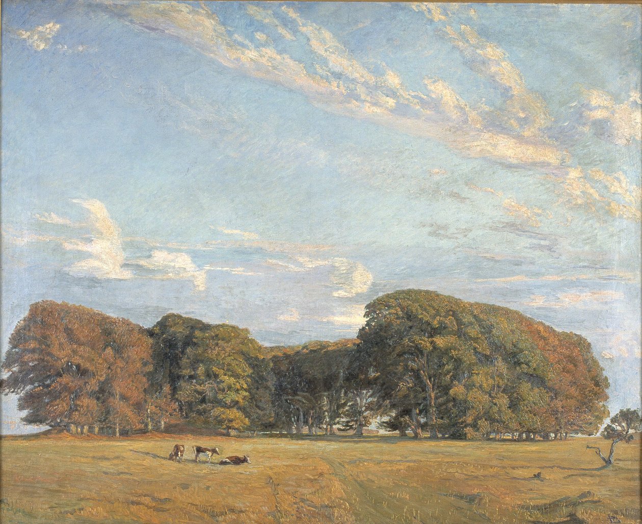 The Hermitage Plain by Aksel M. Lassen