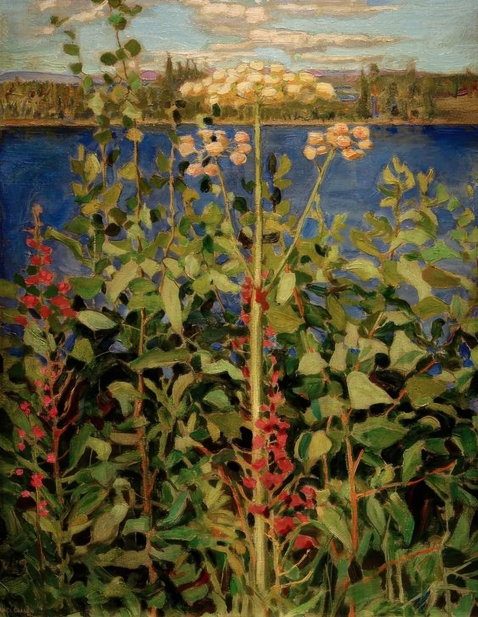 Wild Angelica by Akseli Valdemar Gallen Kallela