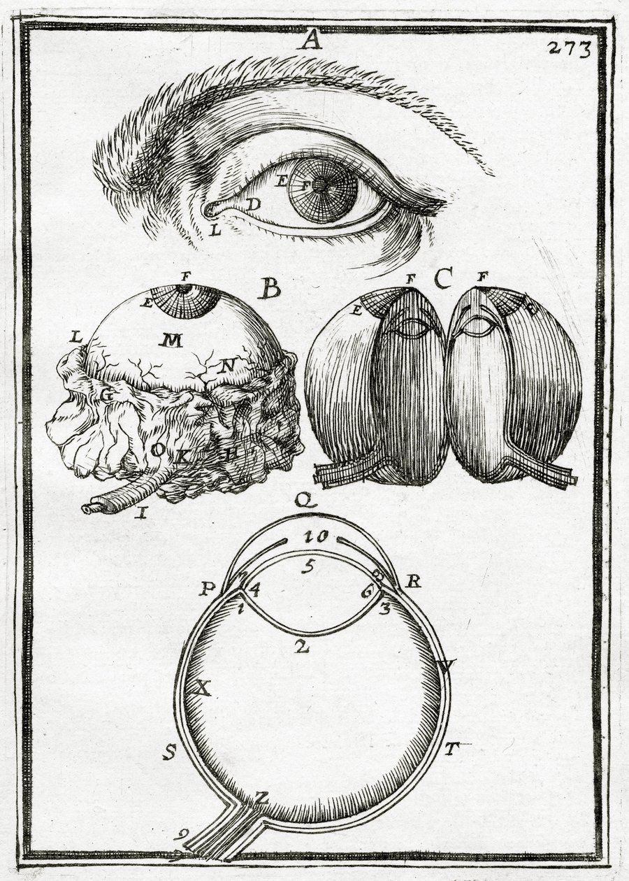 Illustration from La Geometrie Pratique by Alain Manesson Mallet