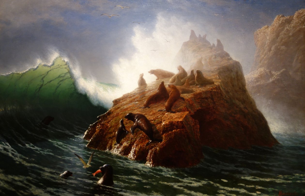 Seal Rock by Albert Bierstadt