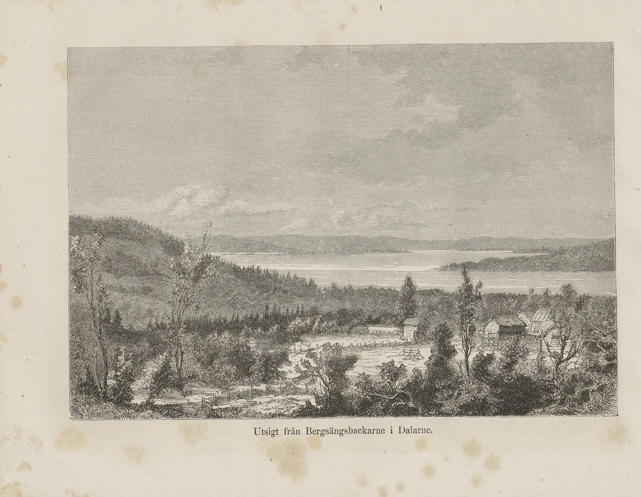Illustration from the Book 