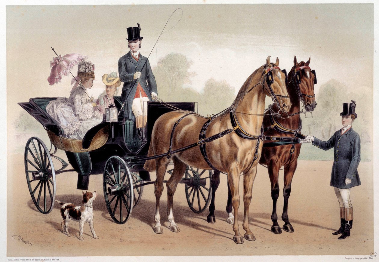 A horse carriage with Anglo-Norman horses. Print by Albert Adam, 19th century. Paris, Musee Carnavalet by Albert Adam