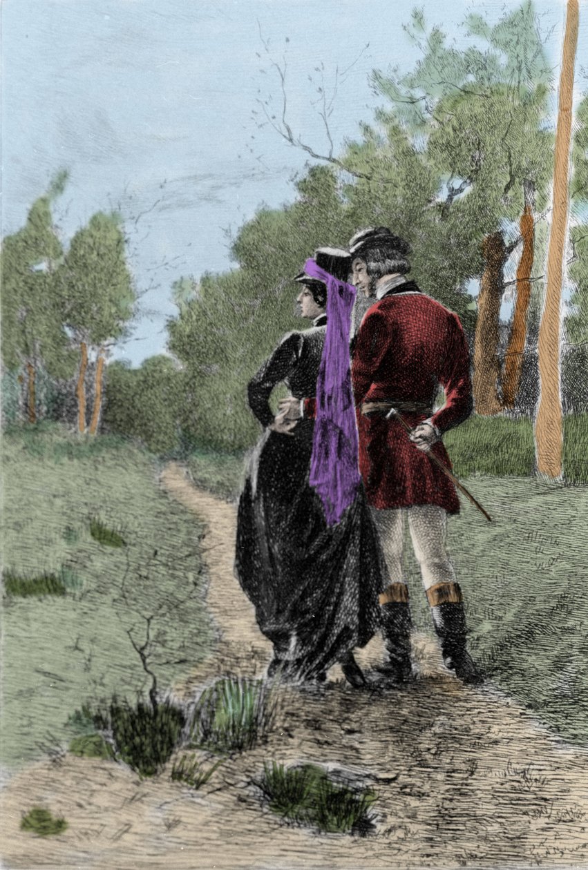 Illustration of the novel Madame Bovary by Gustave Flaubert (1821-1880). Illustration by Albert Fourie (1854-1937) by Albert Auguste Fourie