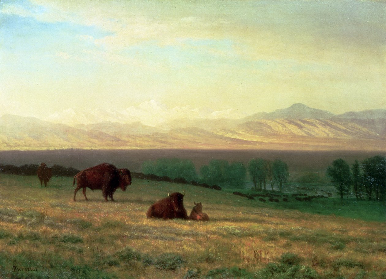 Buffalo on the Plains by Albert Bierstadt