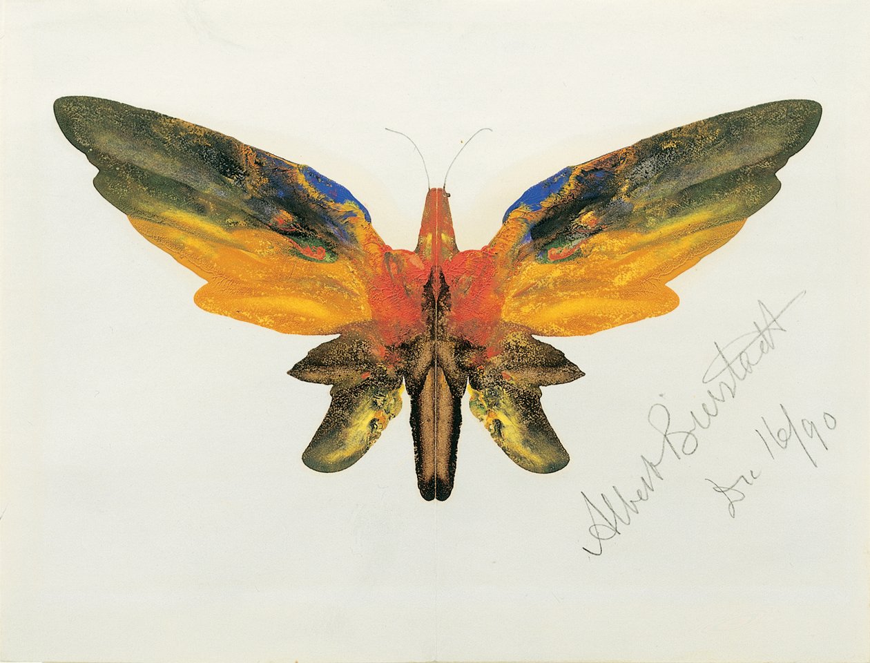Butterfly by Albert Bierstadt