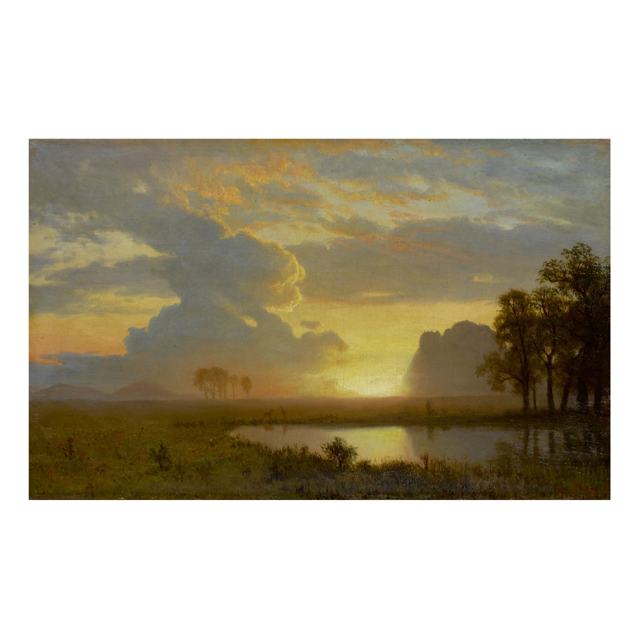 Estes Park, Colorado by Albert Bierstadt