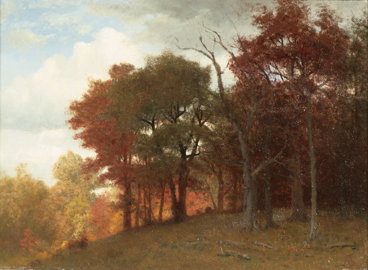 Hastings on the Hudson River, 1865 by Albert Bierstadt