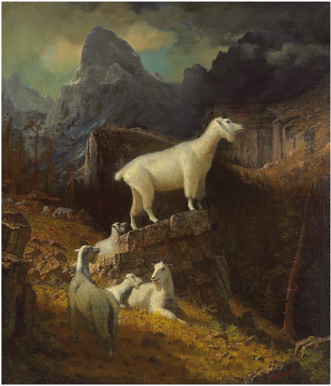 Rocky Mountain Goats by Albert Bierstadt