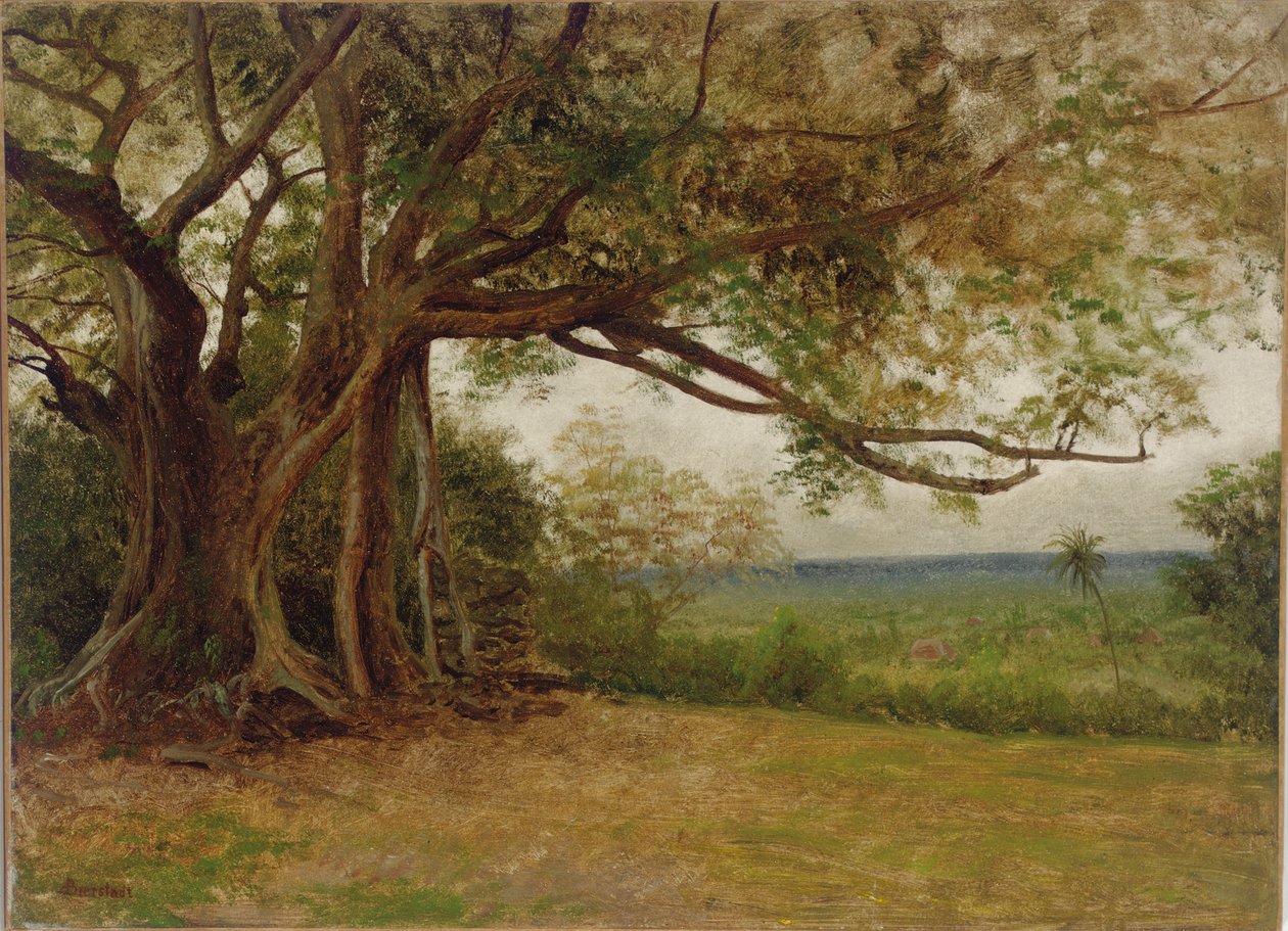 Study for 