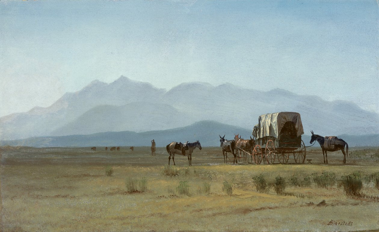 Surveyor