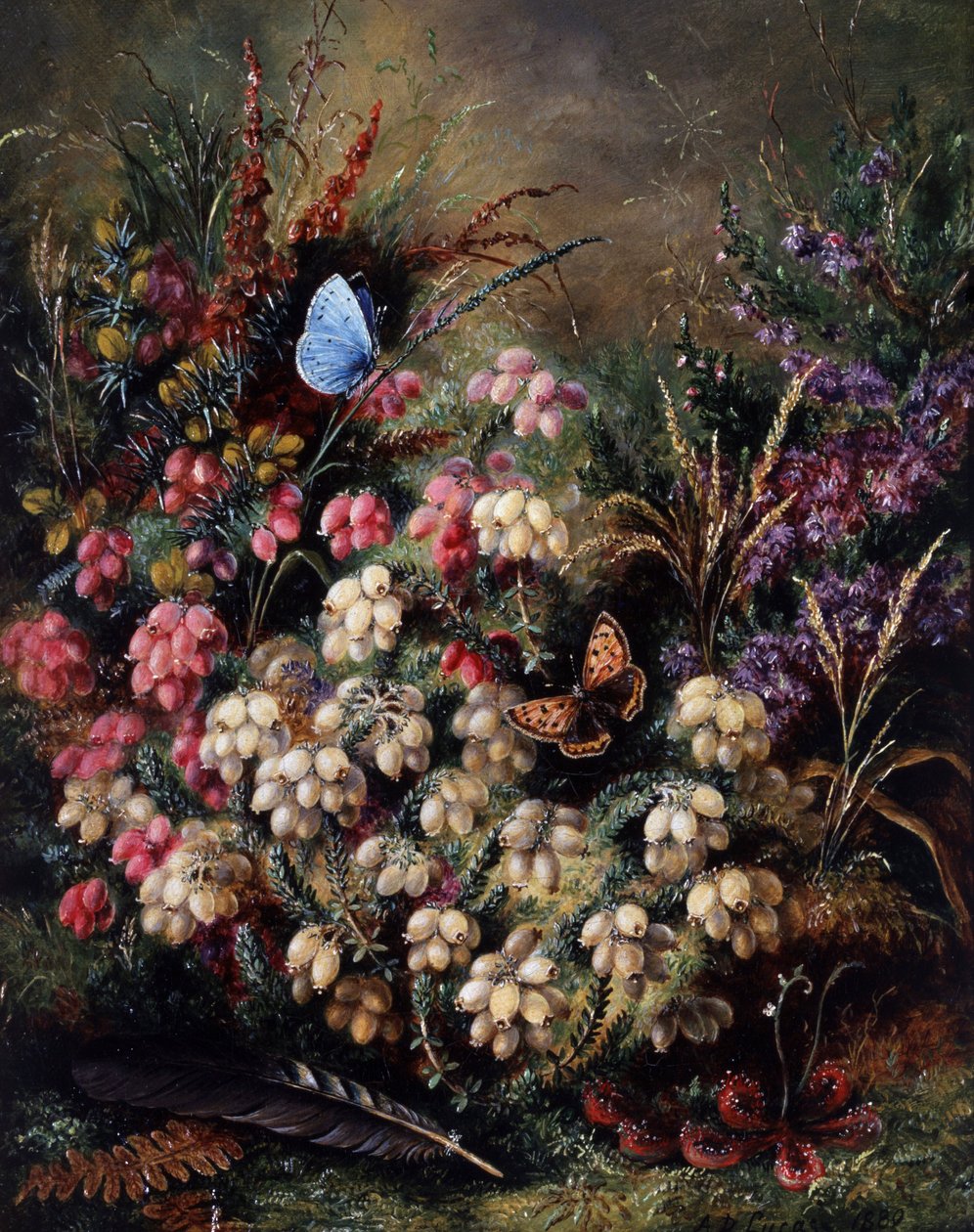 Butterfly in the Heather by Albert Durer Lucas