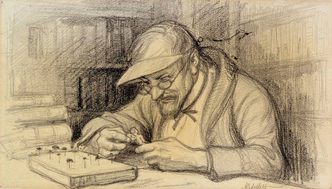 Illustration of the Little Genius by Albert Edelfelt