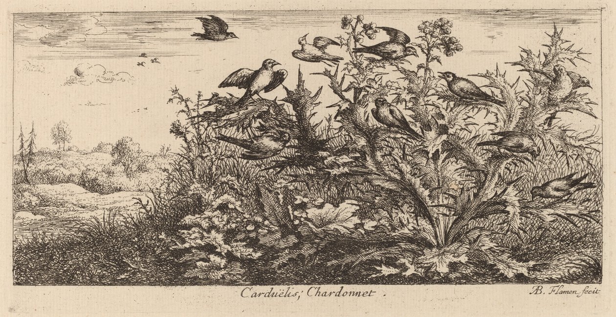 Carduelis, The Goldfinch by Albert Flamen