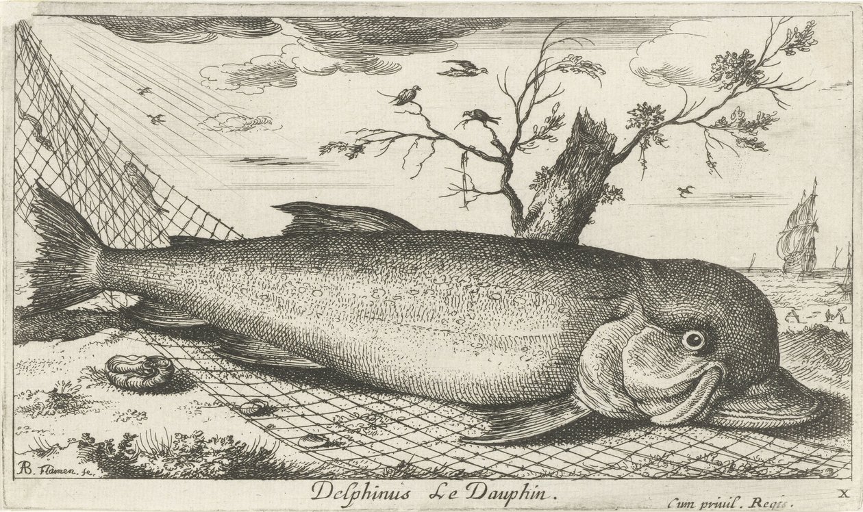 Dolphin in a Fishing Net by Albert Flamen