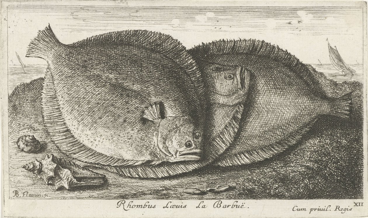 Three Gurnards on the Beach by Albert Flamen