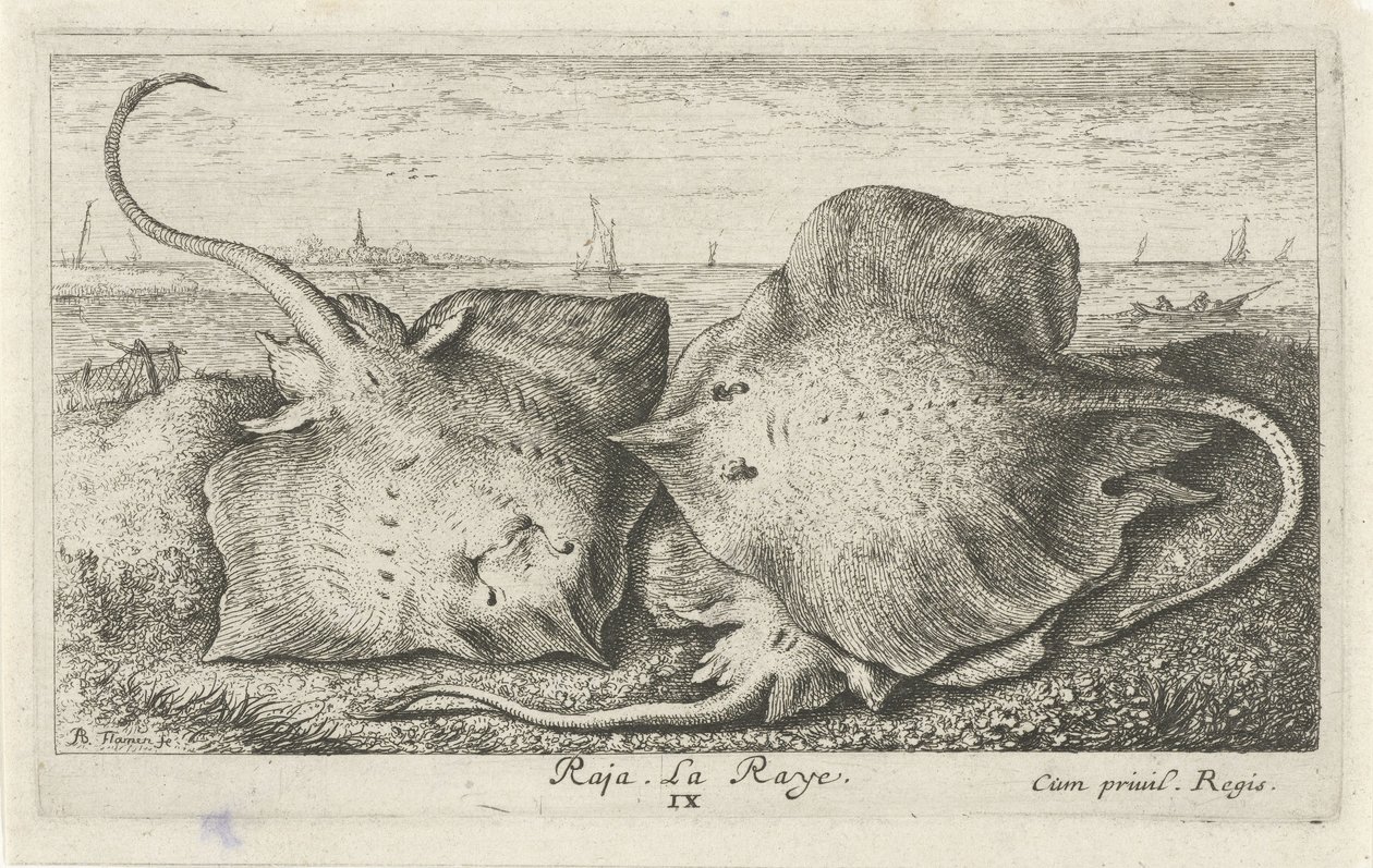 Three Rays on the Beach by Albert Flamen
