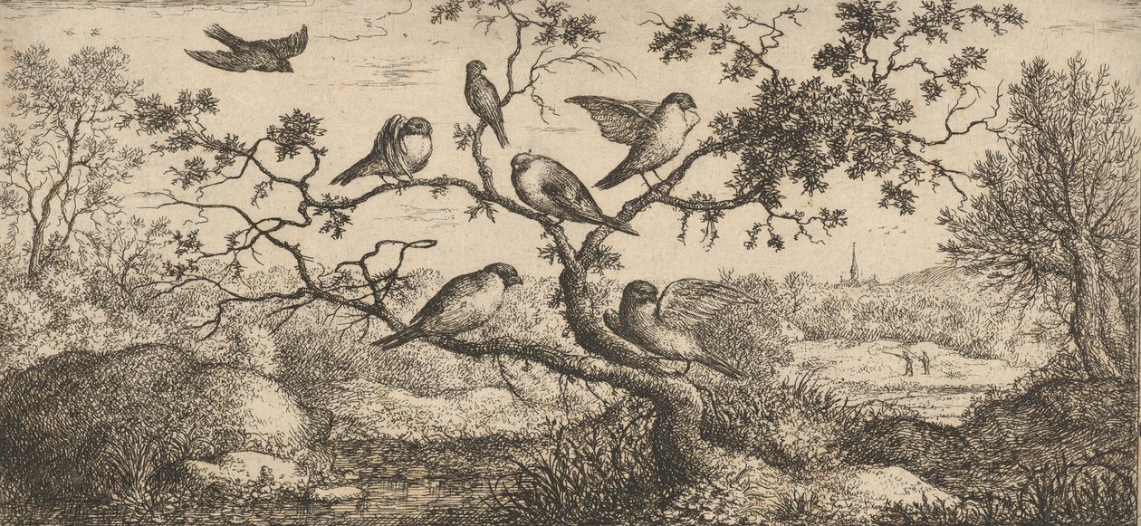 The Bullfinch: Book of Birds, 1655-1660 by Albert Flamen