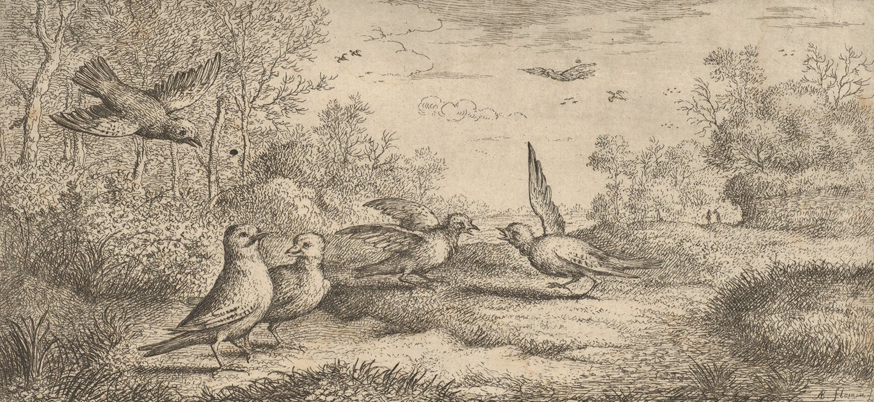 The Jay: Book of Birds by Albert Flamen