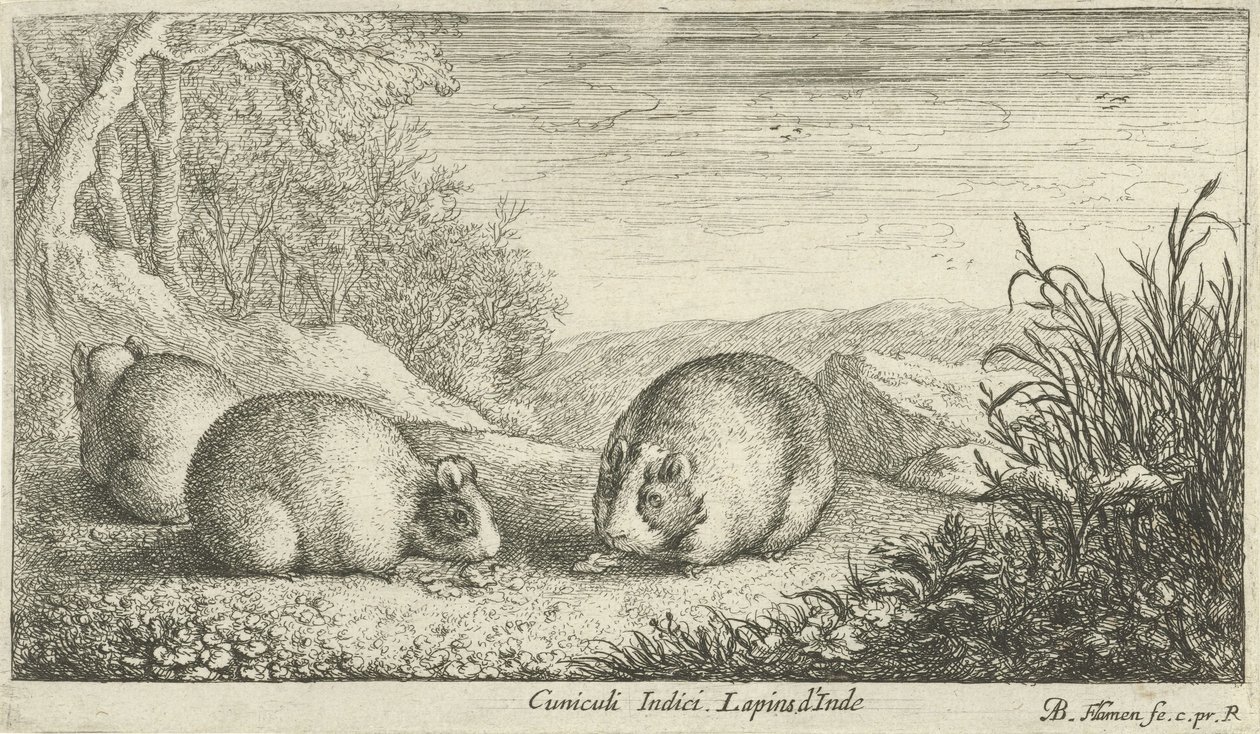 Rodents (Various Animal Species) by Albert Flamen