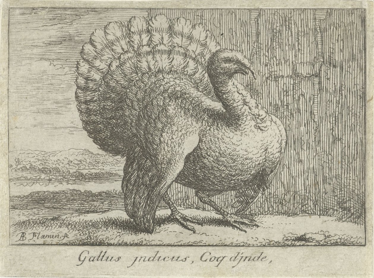 Landscape with Turkey (title on object) (series title) by Albert Flamen