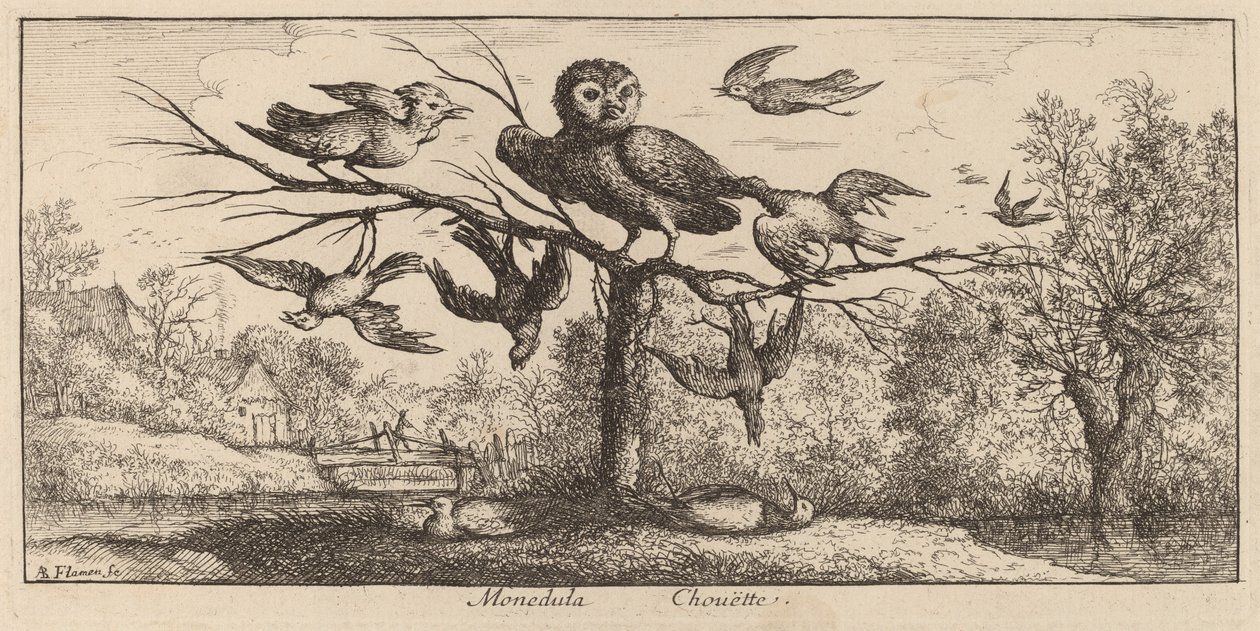 Monedula, The Owl by Albert Flamen