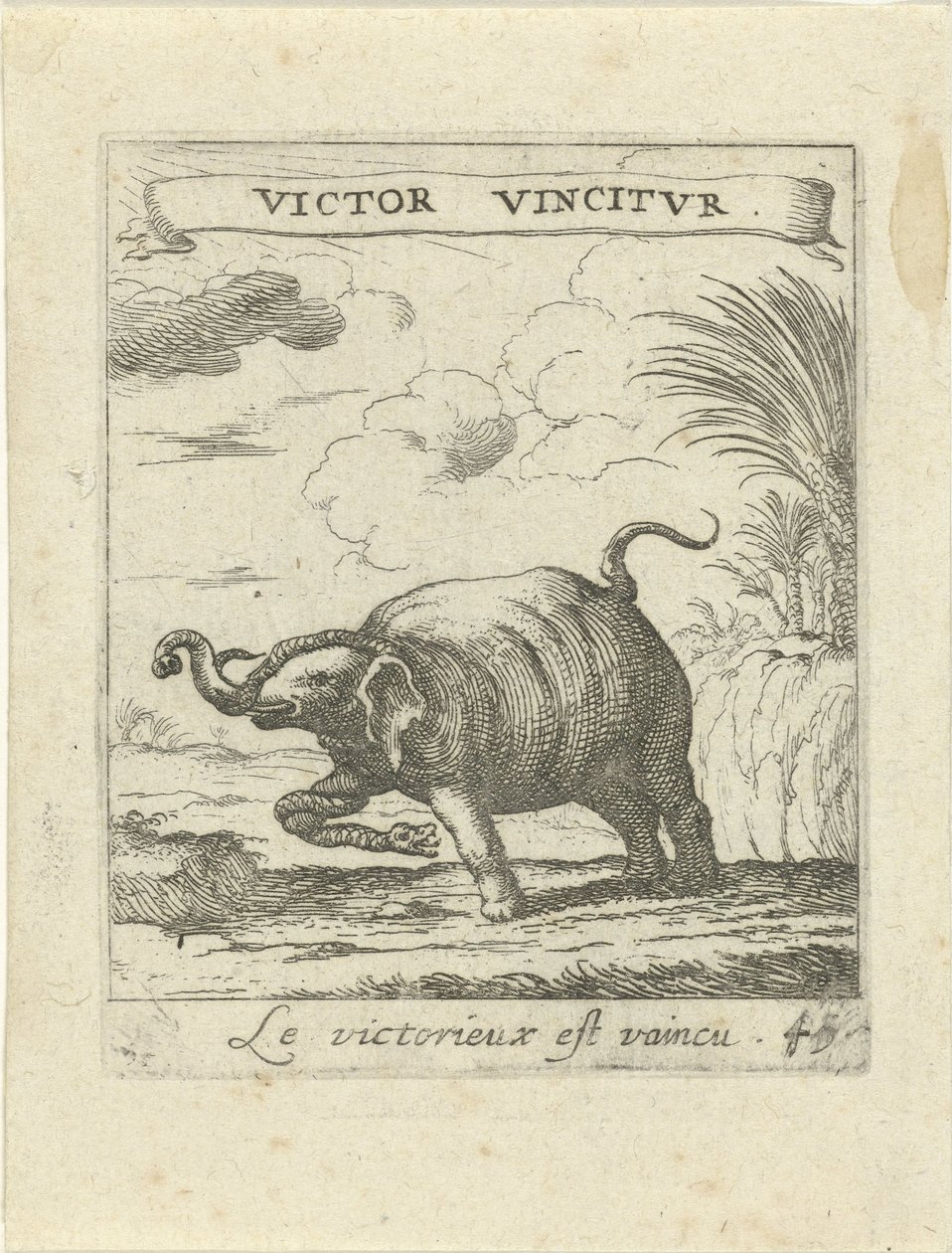 Elephant and Snake (Moralizing Love Emblems) by Albert Flamen