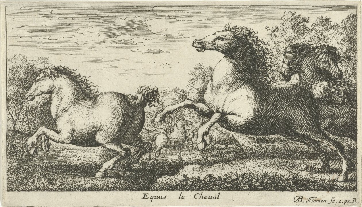 Horses (Various Animal Species) by Albert Flamen