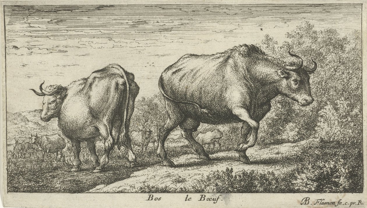Bulls (Bos le Boeuf, Various Animal Species) by Albert Flamen