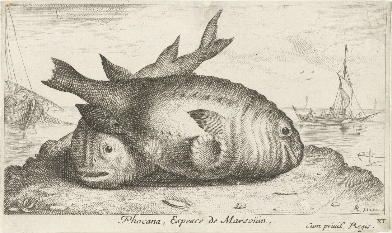 Two Porpoises on the Beach by Albert Flamen