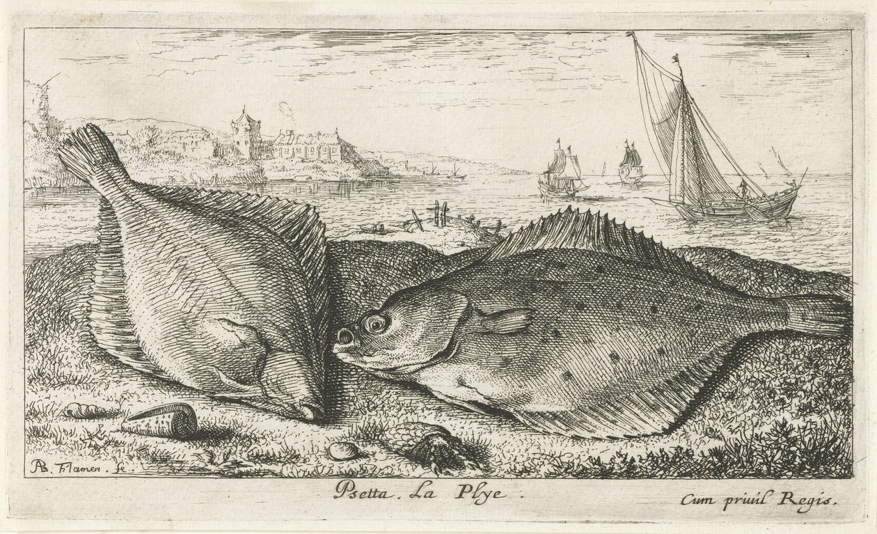 Two Flatfish on the Beach by Albert Flamen