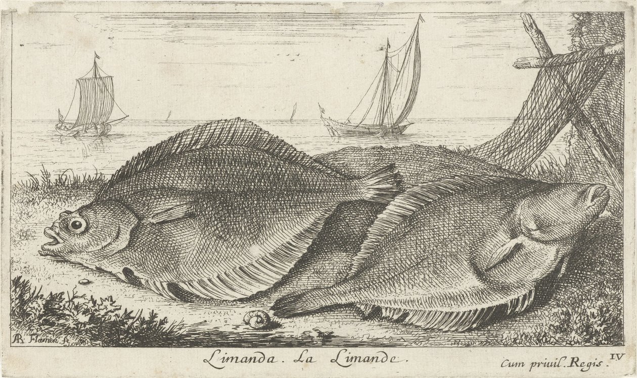 Two Flounders on the Beach by Albert Flamen