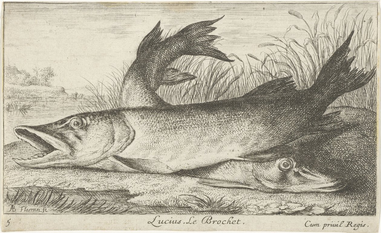 Two Pikes on a Riverbank by Albert Flamen