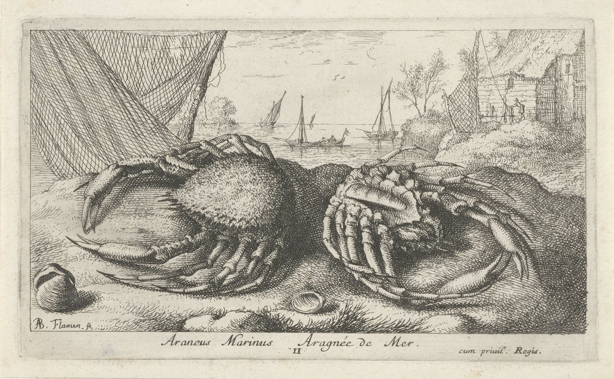 Two Spider Crabs by a Fishing Net by Albert Flamen