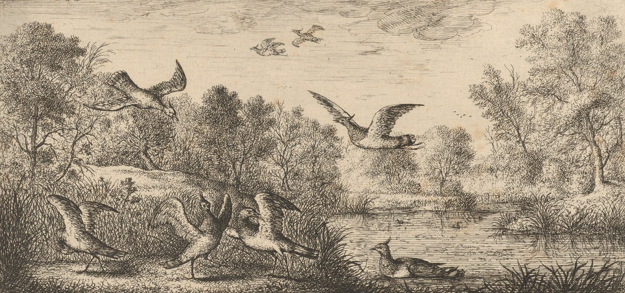 The Lapwing: Book of Birds, 1655-1660 by Albert Flamen
