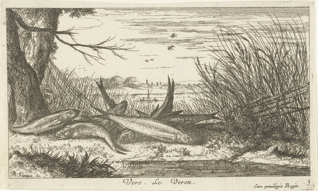 Roaches on a Riverbank by Albert Flamen