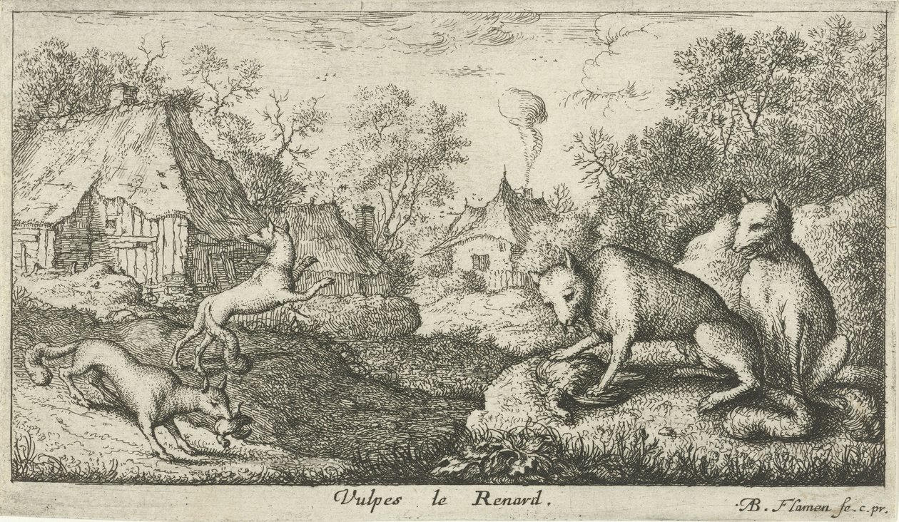 Foxes (Various Animal Species, series title) by Albert Flamen