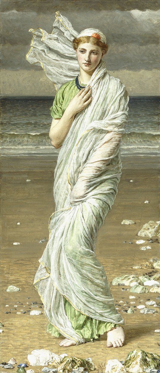 Sea Shells by Albert Joseph Moore: Premium art reproduction
