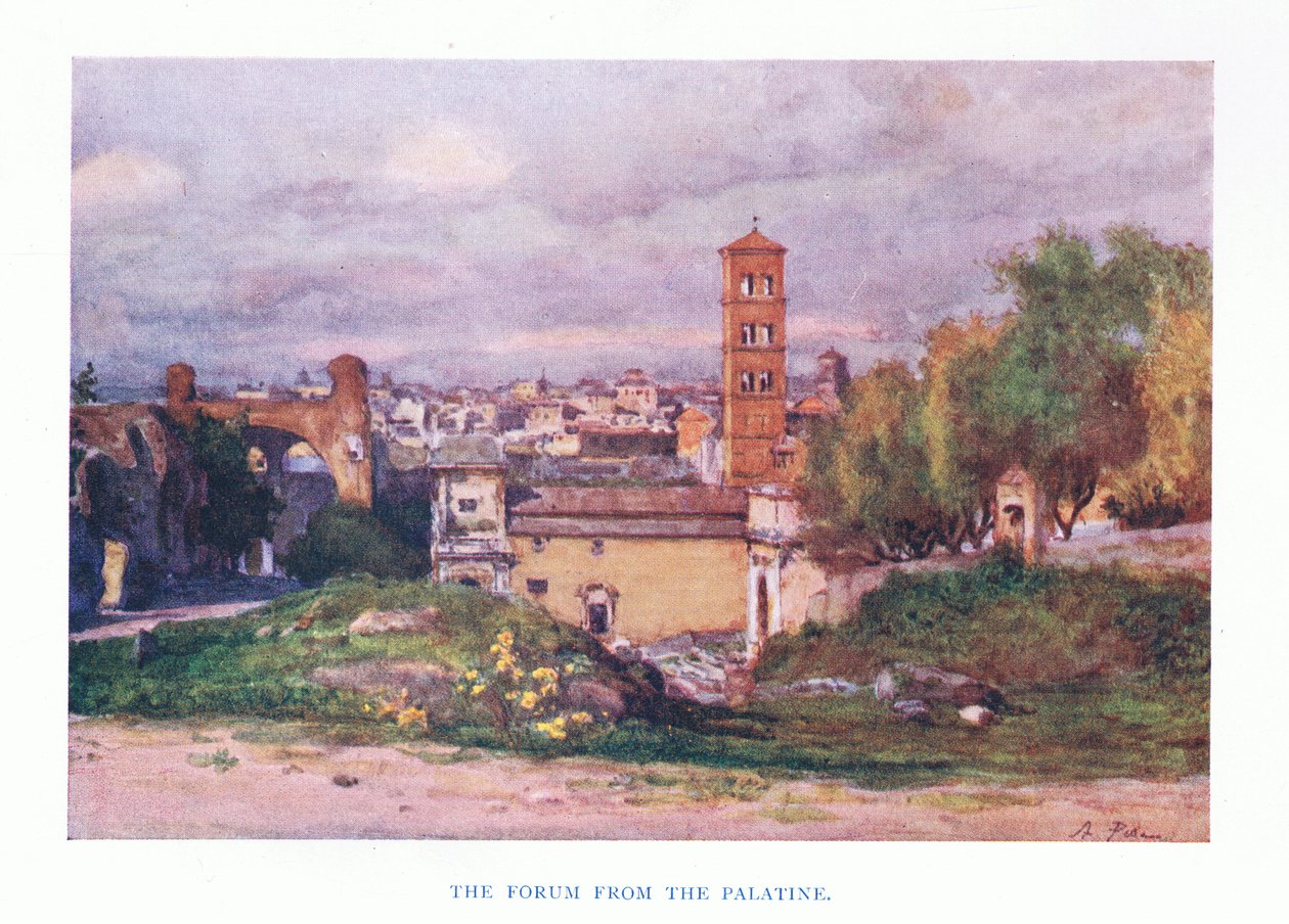 The Forum, from the Palantine by Alberto Pisa