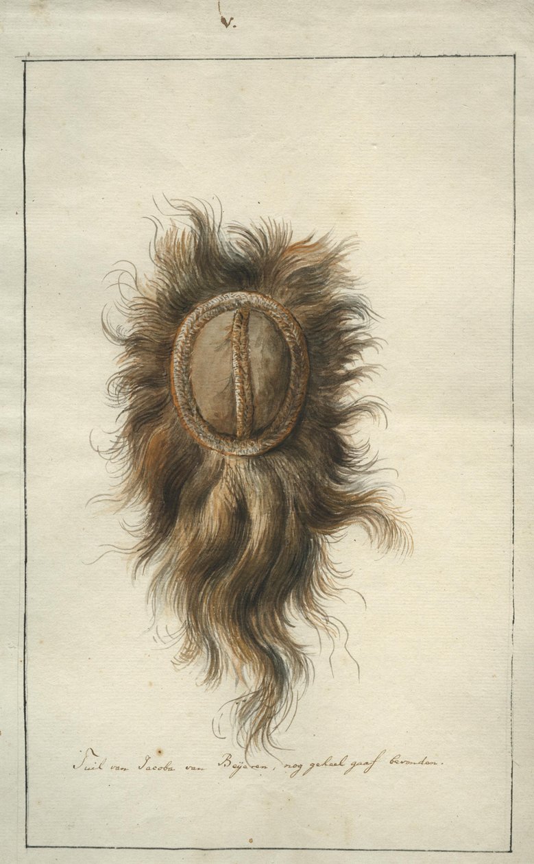 The Headdress of Jacoba van Beieren by Albertus Frese de Jonge