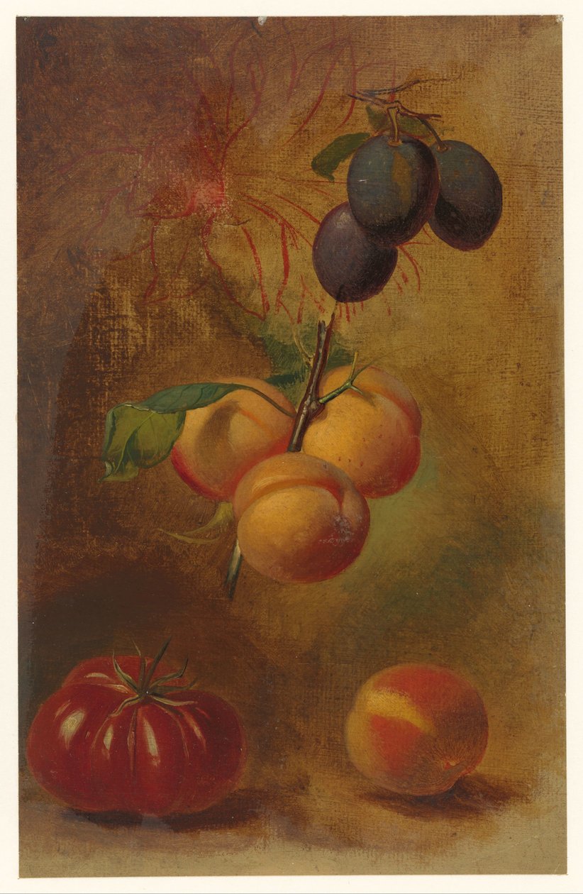 Still Life with Plums, Apricots, and Tomato by Albertus Steenbergen